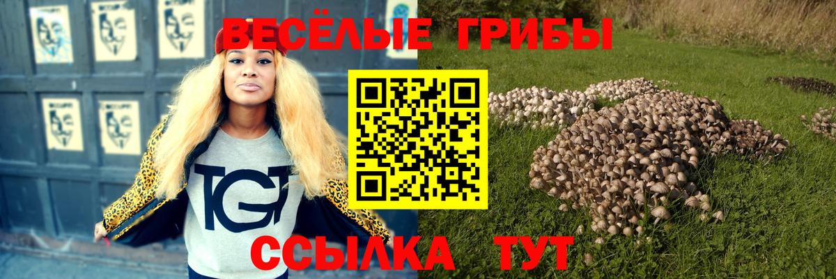 Губкинский  Галлюциногенные грибы Magic Shrooms  Вход с VPN 