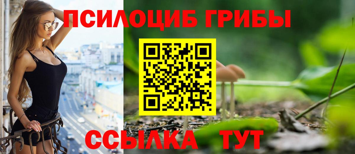 Галлюциногенные грибы MAGIC MUSHROOMS Губкинский