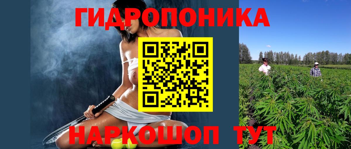 Бошки марихуана семена Губкинский