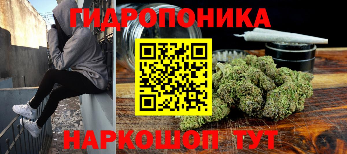 Бошки Шишки марихуана  Конопля SATIVA & INDICA  Вход с VPN  Губкинский  Канабис план 